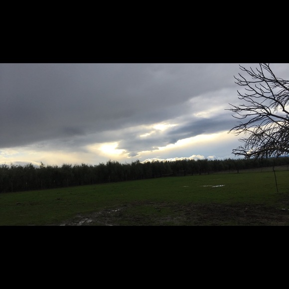 Meet your Posher, Makayla - Picture 1 of 1